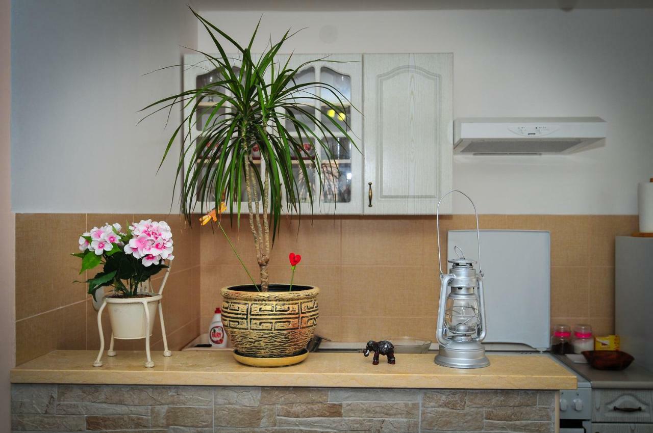 Apartment Elena ติวัต ภายนอก รูปภาพ